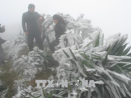 Thời tiết ngày 31/1: Bắc Bộ rét đậm, rét hại, vùng núi cao xuất hiện băng giá